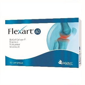 FLEXART INTEGRATORE